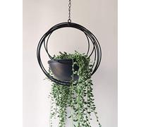 RISEON Boho Pot de fleurs à suspendre en métal doré géométrique moderne pour intérieur ou extérieur, décoration de mariage noir