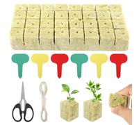 RISF Lot de 32 cubes de laine de roche de 3 x 3 x 4 cm - Cube de laine de roche sans fond - Tapis de culture avec étiquettes de plantes, ciseaux et fil de coton pour culture hydroponique