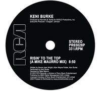 Risin' To The Top (Mike Maurro Mix) [Analog]