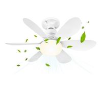 ®RisingFF Ventilateur de plafond avec lumière et télécommande, petite LED dimmable, 52 cm, avec douille E27, 6 pales, 3 vitesses