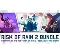Risk of Rain 2 Survivors of the Void Seekers of the Storm Bundle (PC)