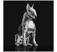 Riskee & The Ridicule – Platinum Statue – CD