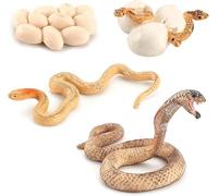 Rismise Serpent cycle de croissance Cobra Cycle de croissance Modèle Figurines Jouet Mini Cobra Serpent Figurine Serpent Cycle de vie Figurine Jouet éducatif Serpent Animal Trick Reptile Halloween