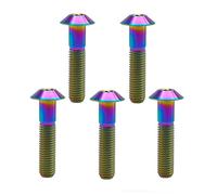 RISON Lot de 5 boulons en titane M6 x 1,0 x 25 mm à tête bombée en titane à six pans creux pour vélo et moto
