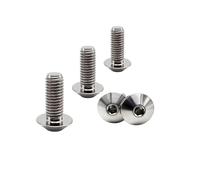 RISON Lot de 5 boulons en titane M8 x 1,25 x 20 mm à tête bombée en titane à six pans creux en alliage de titane pour vélo et moto