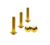 RISON Lot de 5 boulons en titane M8 x 1,25 x 40 mm à tête bombée en titane pour vélo et moto
