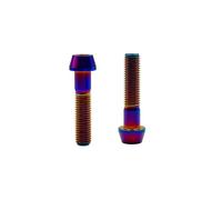RISON-Titanium 2 Pièces Boulons de Tige de Vélo Titane M4x0.7x25mm, Vis de Potence de Vélo, Vis à Tête Conique Hexagonale pour Guidon/Cage de Bouteille/Collier de Tige de Selle/Vis de Cadre Arrière