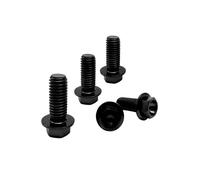 RISON-Titanium 5 Pièces Vis à Tête à Bride en Titane M10x1.25x25mm, Vis de Tête de Rondelle de Bouchon Boulons à Tête Hexagonale d'entraînement Fixation pour Vélo, Moto, Voiture