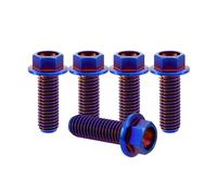 RISON-Titanium 5 Pièces Vis à Tête à Bride en Titane M4x0.7x15mm, Vis de Tête de Rondelle de Bouchon Boulons à Tête Hexagonale d'entraînement Fixation pour Vélo, Moto, Voiture