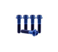 RISON-Titanium 5 Pièces Vis à Tête à Bride en Titane M6x1.0x25mm, Vis de Tête de Rondelle de Bouchon Boulons à Tête Hexagonale d'entraînement Fixation pour Vélo, Moto, Voiture