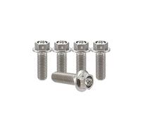 RISON-Titanium Boulons en Titane avec Bride M8x1.25x20mm, Boulons à Tête Hexagonale avec Flange, Vis Hexagonales Rondelle à Bride en Titane GR5 Vis de Fixation, Lot de 5