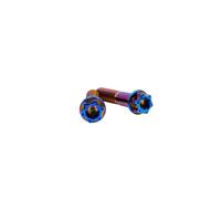 RISON-Titanium Lot de 2 Boulons en Titane M6 M8 M10, Boulons à Bride Tête Torx, Vis d'étrier de Frein, Boulons Fixations Double Drive pour Motos, Vélos