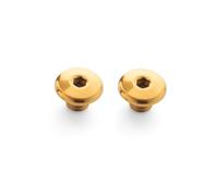 RISON-Titanium Lot de 2 Vis de Levier de Frein de Vélo en Titane M5, Boulons de Couvercle de Cylindre D'huile Intégrale, Vis de Frein Hydraulique pour Shimano XT, Vis pour Vélo de Route, VTT