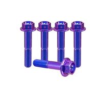 RISON-Titanium Lot de 5 Boulons en Titane avec Bride M6x1.0x20mm, Boulons à Tête Hexagonale avec Flange, Vis Hexagonales Rondelle à Bride en Titane GR5 Vis de Fixation pour Moto, Vélo