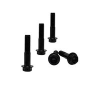 RISON-Titanium Lot de 5 Boulons en Titane avec Bride M8x1.25x50mm, Boulons à Tête Hexagonale avec Flange, Vis Hexagonales Rondelle à Bride en Titane GR5 Vis de Fixation pour Moto, Vélo