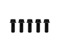 RISON-Titanium Lot de 5 Boulons en Titane M10x1.25x25mm, Vis à Bride Torx, Vis à Tête Cylindrique Filetées Dual Drive, Boulons Fixations en Alliage de Titane GR5 pour Moto, Vélo, Voiture