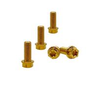RISON-Titanium Lot de 5 Boulons en Titane M10x1.25x30mm, Vis à Bride Torx, Vis à Tête Cylindrique Filetées Dual Drive, Boulons Fixations en Alliage de Titane GR5 pour Moto, Vélo, Voiture