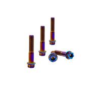RISON-Titanium Lot de 5 Boulons en Titane M10x1.25x55mm, Vis à Bride Torx, Vis à Tête Cylindrique Filetées Dual Drive, Boulons Fixations en Alliage de Titane GR5 pour Moto, Vélo, Voiture
