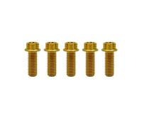 RISON-Titanium Lot de 5 Boulons en Titane M6x1.0x18mm, Vis à Bride Torx, Vis à Tête Cylindrique Filetées Dual Drive, Boulons Fixations en Alliage de Titane GR5 pour Moto, Vélo, Voiture