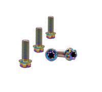 RISON-Titanium Lot de 5 Boulons en Titane M6x1.0x22mm, Vis à Bride Torx, Vis à Tête Cylindrique Filetées Dual Drive, Boulons Fixations en Alliage de Titane GR5 pour Moto, Vélo, Voiture