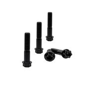 RISON-Titanium Lot de 5 Boulons en Titane M6x1.0x22mm, Vis à Bride Torx, Vis à Tête Cylindrique Filetées Dual Drive, Boulons Fixations en Alliage de Titane GR5 pour Moto, Vélo, Voiture