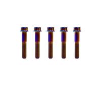 RISON-Titanium Lot de 5 Boulons en Titane M6x1.0x25mm, Vis à Bride Torx, Vis à Tête Cylindrique Filetées Dual Drive, Boulons Fixations en Alliage de Titane GR5 pour Moto, Vélo, Voiture