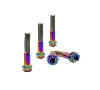 RISON-Titanium Lot de 5 Boulons en Titane M6x1.0x30mm, Vis à Bride Torx, Vis à Tête Cylindrique Filetées Dual Drive, Boulons Fixations en Alliage de Titane GR5 pour Moto, Vélo, Voiture