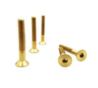 RISON-Titanium Lot de 5 Boulons en Titane M6x1.0x40mm, Vis à Tête Fraisée avec Six Pans Creux, Vis à Tête Plate Allen, Vis en Titane Hexagonale pour Moto Vélo VTT