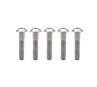 RISON-Titanium Lot de 5 Boulons M8 x 1,25 x 30 mm en Titane, Tête Bombée à Six Pans Creux, Couleur Alliage, Vis à Base pour Vélo et Moto