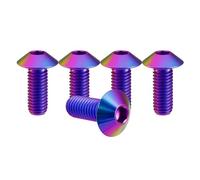 RISON-Titanium Lot de 5 Vis en Titane M6x1.0x25mm, Boulon à Tête Hexagonale Vis Porte Bidon Velo, Vis à Tête Bombée Vis De Cage de Bouteille d'eau de Bicyclette Vis à Métaux pour Moto, vélo