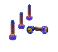 RISON-Titanium Lot de 5 Vis en Titane M7x1x24.5mm, Boulons de Jante Fendue en Titane, Vis à Cylindre Boulons de Roue Split Rim Bolts, Idéal pour BBS | RSII | RXII Véhicules