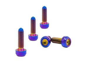 RISON-Titanium Lot de 5 Vis en Titane M7x1x24.5mm, Boulons de Jante Fendue en Titane, Vis à Cylindre Boulons de Roue Split Rim Bolts, Idéal pour BBS | RSII | RXII Véhicules