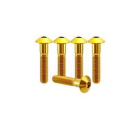 RISON-Titanium Lot de 5 Vis en Titane pour Vélo et Moto, Tête Bombée à Six Pans Creux M4x0.7x20mm, Hexagonale Bombée, Semi-circulaire à Bouton Filetage Complet pour VTT