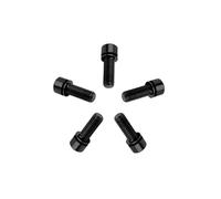 RISON-Titanium Lot de 5 Vis Hexagonales en Titane pour Vélo M6x16mm, Boulons de Tige de Vélo avec Rondelle, Vis de Potence de Vélo Boulon Porte Bidon pour VTT, Vélo de Route