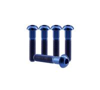 RISON-Titanium Vis à Tête Bombée en Titane GR5 M5x30mm, 5 Pièces Vis à Tête de Bouton Boulons à Six Pans Creux Allen Boulon à Douille Hexagonale Vis à Métaux