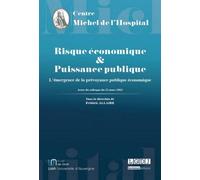 Risque économique et puissance publique L'émergence de la prévoyance publique économique - Collectif - Michel L'hospital - broché - Etude