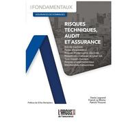 Risques Techniques, Audit Et Assurance