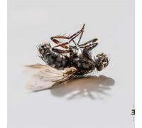 Rissanen, Aki - Hyperreal [Import]