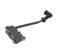 Risveglio Bobine d'allumage 291337001 pour débroussailleuse RY251PH RY252CS RY253SS RY254BC, pièce de rechange d'équipement électrique