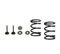 Risveglio Kit de retenue de ressort de soupape en métal et moteurs, ensemble de joints de soupape d'échappement d'admission 5,5 HP 6,5 HP pour tondeuses, pour pièces de rechange (168F-170F)