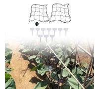 Risveglio Lot de 2 filets en nylon pour plantes grimpantes 40 x 40 cm avec sangles de fixation et 10 étiquettes pour cultiver des plantes grimpantes à l'intérieur et à l'extérieur