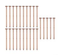 Risveglio Lot de 25 clous en cuivre massif de 7,6 cm, pour destruction des racines et arrêt de la croissance, outils à main de jardin