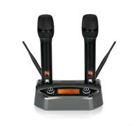 Risveglio Pour double microphone sans fil portable, système FM avec réduction du bruit anti-hurlement, construction en alliage d'aluminium léger, événements et entretiens, noir