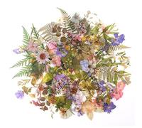 RISYPISY 160pcs Naturels Autocollants Set, Floraux et Plante Stickers, Divers Autocollants Botaniques de Forme Spéciale pour Bricolage, Bullet Journal, Cahier, Téléphone Portable, Calendriers