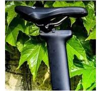 Ritchey Collier De Selle 1-bolt