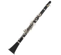 RiToEasysports Ensemble de Clarinette pour Débutant, 17 Clés en Bois, avec Boîte à Roseaux en Tissu de Nettoyage, adapté aux étudiants, Instrument de Musique (BLACK)