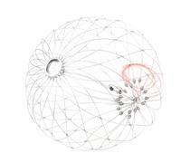 RiToEasysports Filet en Fil d'acier pour Crabe, Piège à Cage de Pêche Extensible Automatiquement en Acier Inoxydable avec Conception Pliable, pour Attraper des Crabes et des (62 cm/24,4 Pouces 20