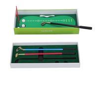 RiToEasysports Mini Golf Club Club Ensemble avec des Boules de Drapeau et des pour Les Amateurs de Golf, des Matériaux Durables, Un Idéal, Un Soulagement du Stress (Green)