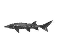 RiToEasysports Modèle de Poisson D'esturgeons de Haute qualité Jouet Artificiel pour Décoration Domestique, Affichage du marché, Matière Plastique Sûre, Grande Idée (M-1528 Esturgeon Chinois)