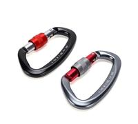 RiToEasysports Mousqueton, Mousquetons Légers et Robustes en Forme de D en Acier Inoxydable, Boucle de Sac à Dos pour l'escalade et la Randonnée (Noir + Gris 2 pièces)